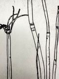 Equisetum hyemale - an intaglio print