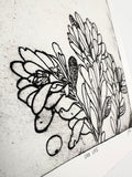Uva Ursi - Intaglio Print