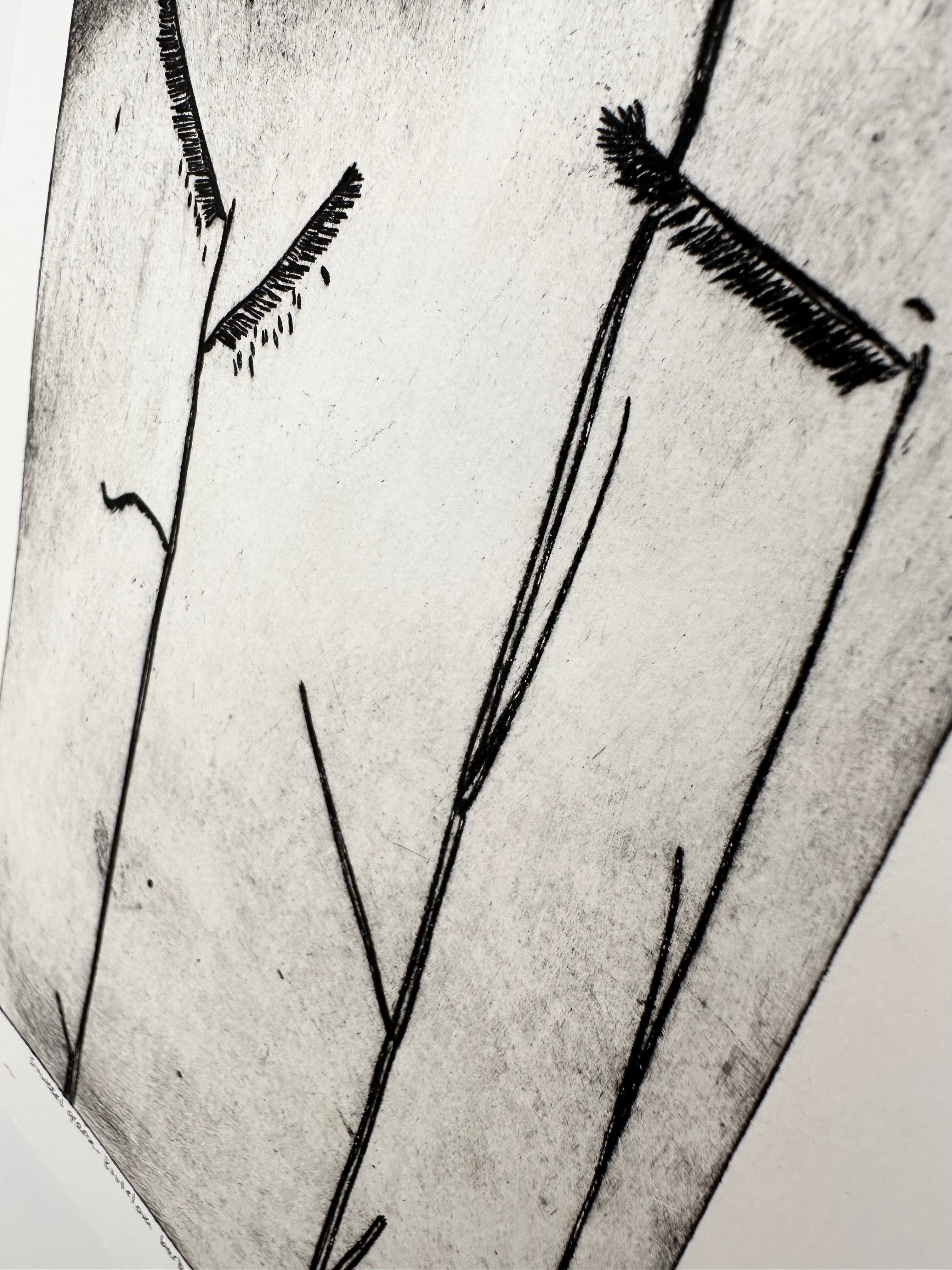Sixweeks Grama Grass - an intaglio print