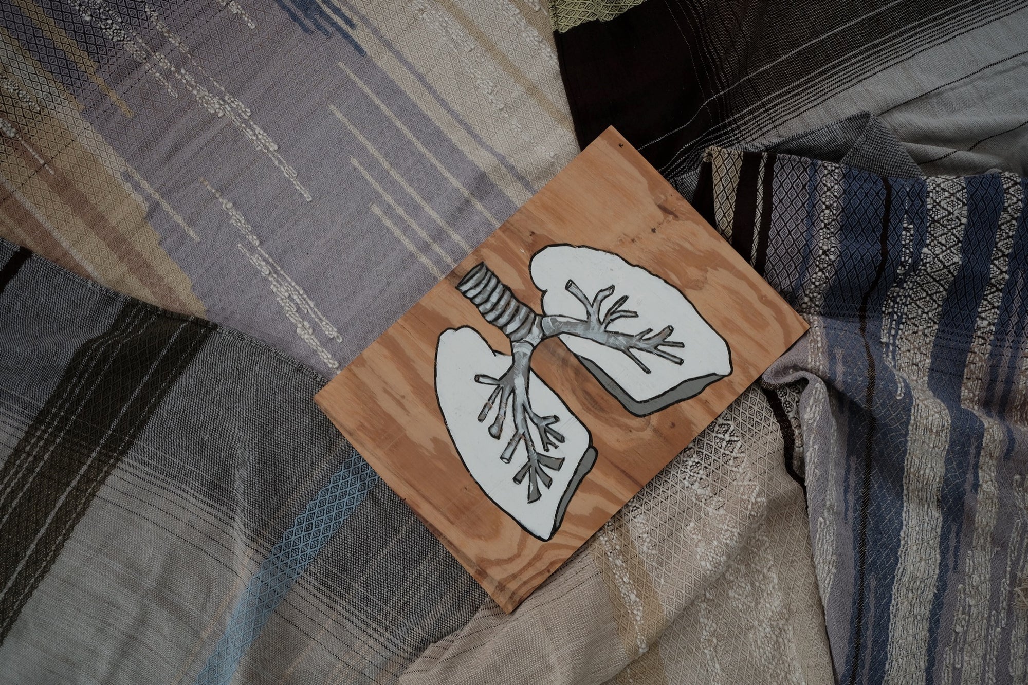 Lungs