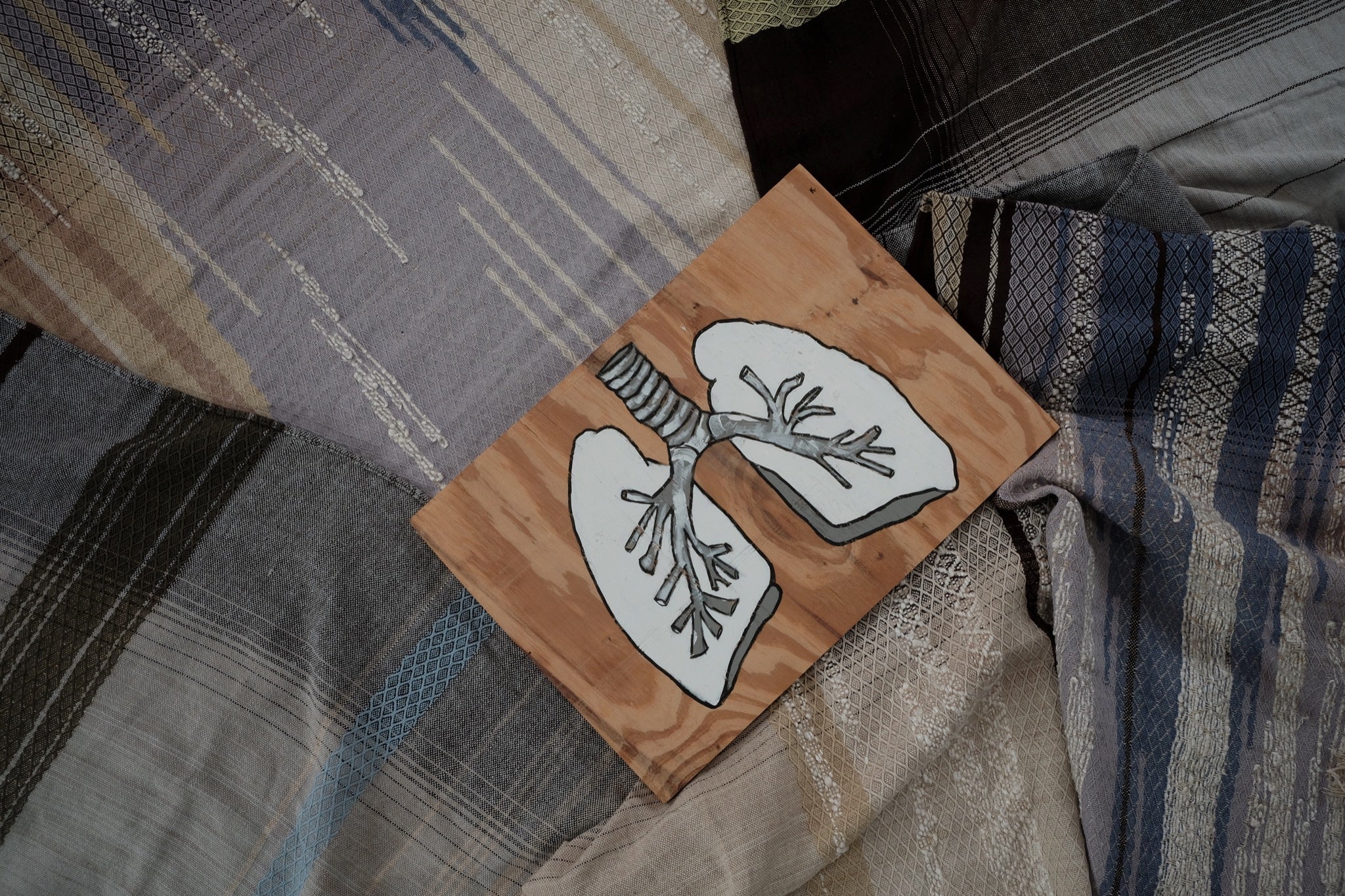 Lungs