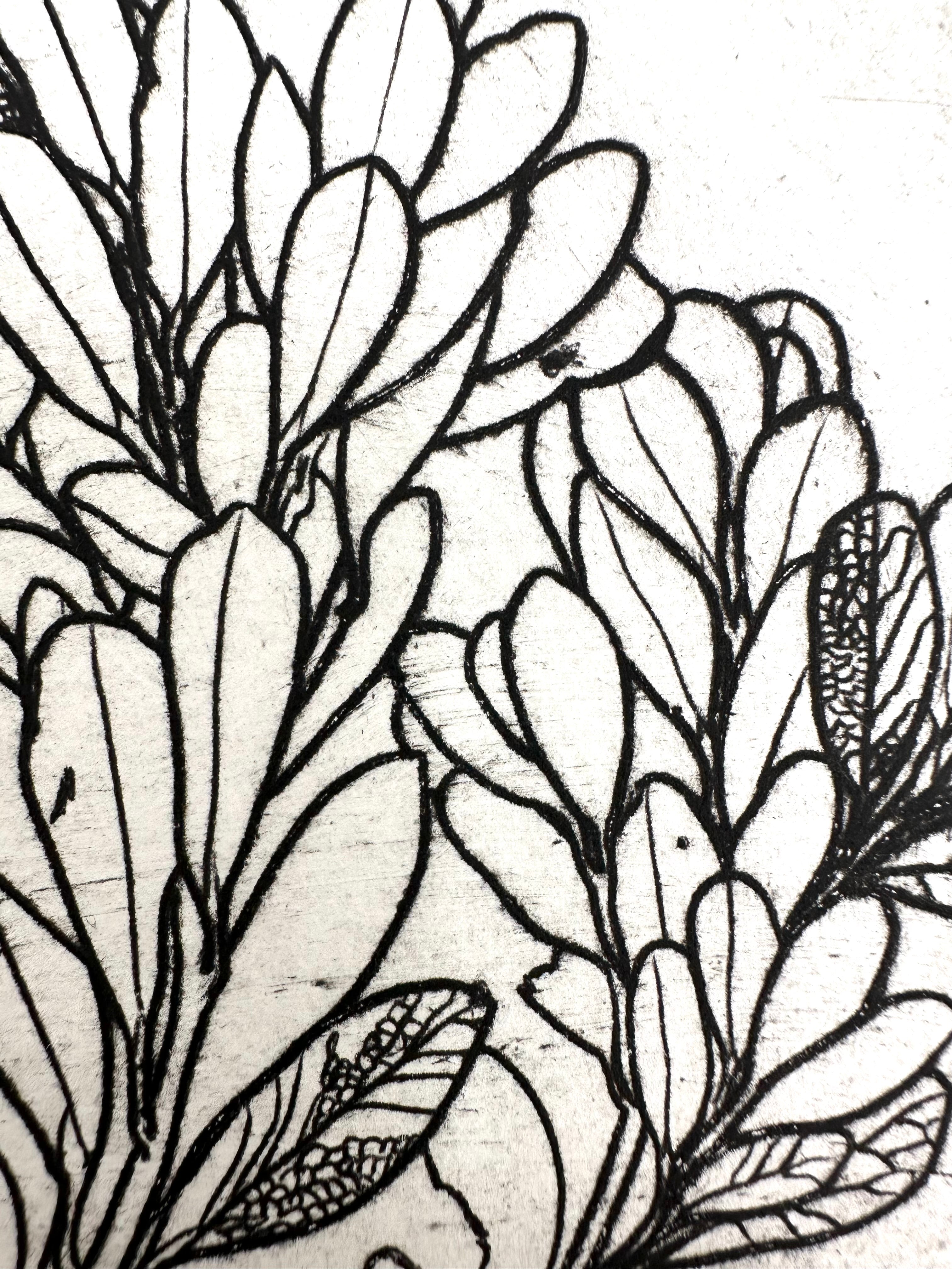 Uva Ursi - Intaglio Print