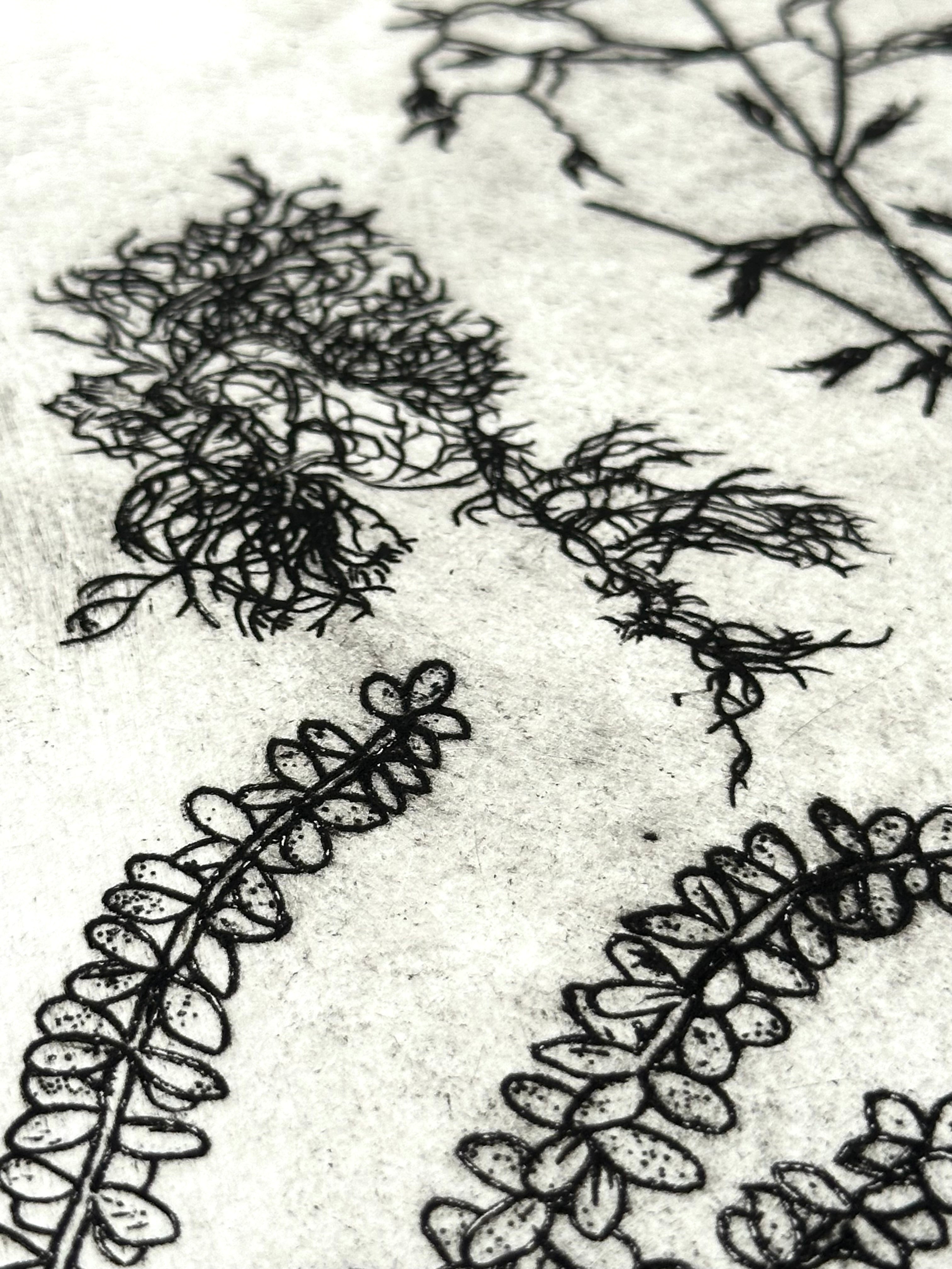What are the colors of the place you love most in the world? - an intaglio print