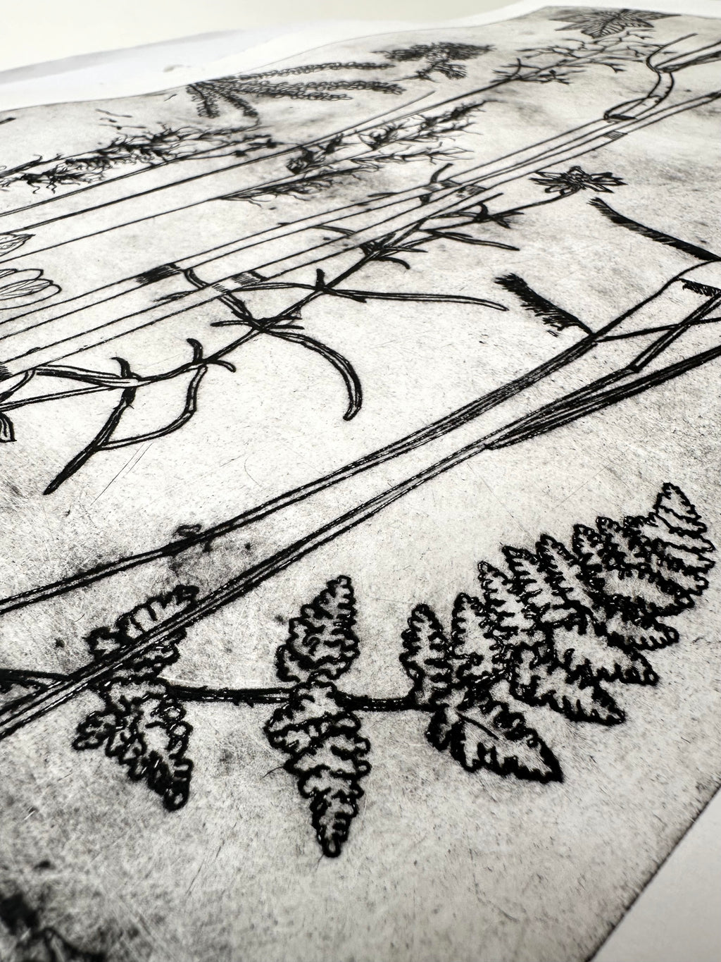 What are the colors of the place you love most in the world? - an intaglio print
