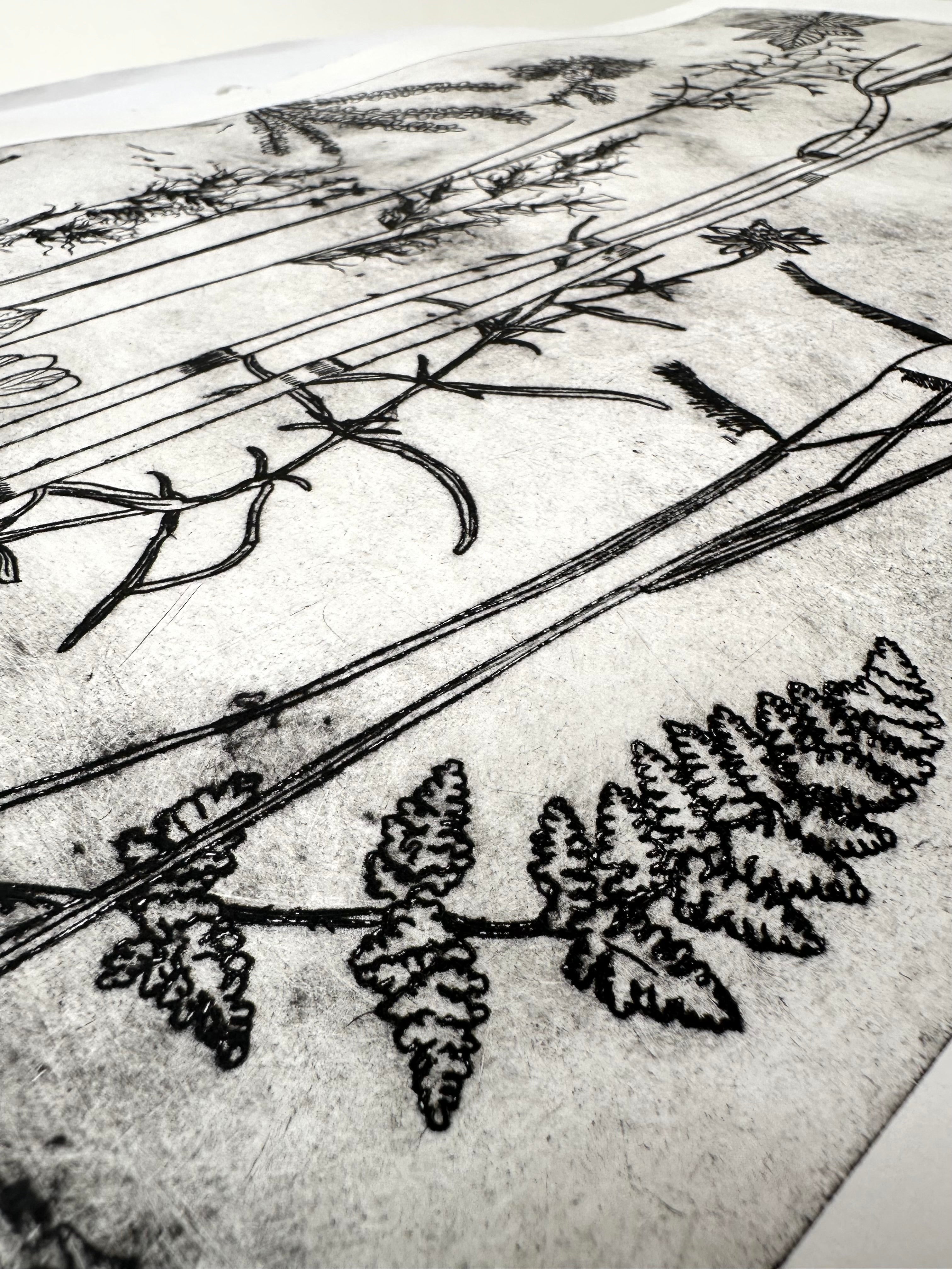 What are the colors of the place you love most in the world? - an intaglio print