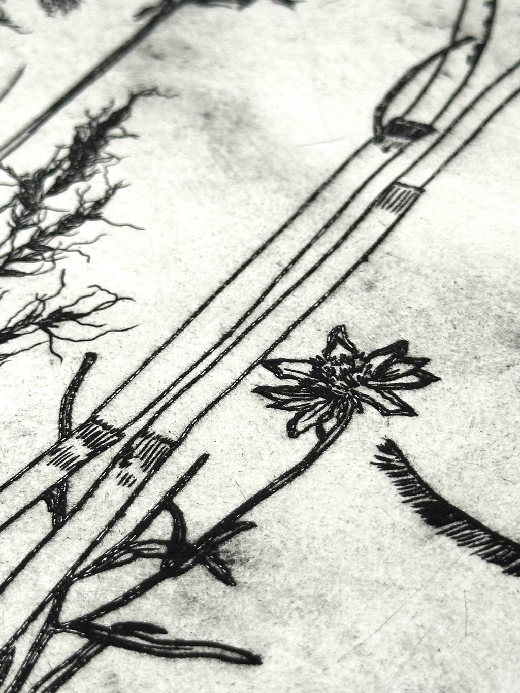 What are the colors of the place you love most in the world? - an intaglio print