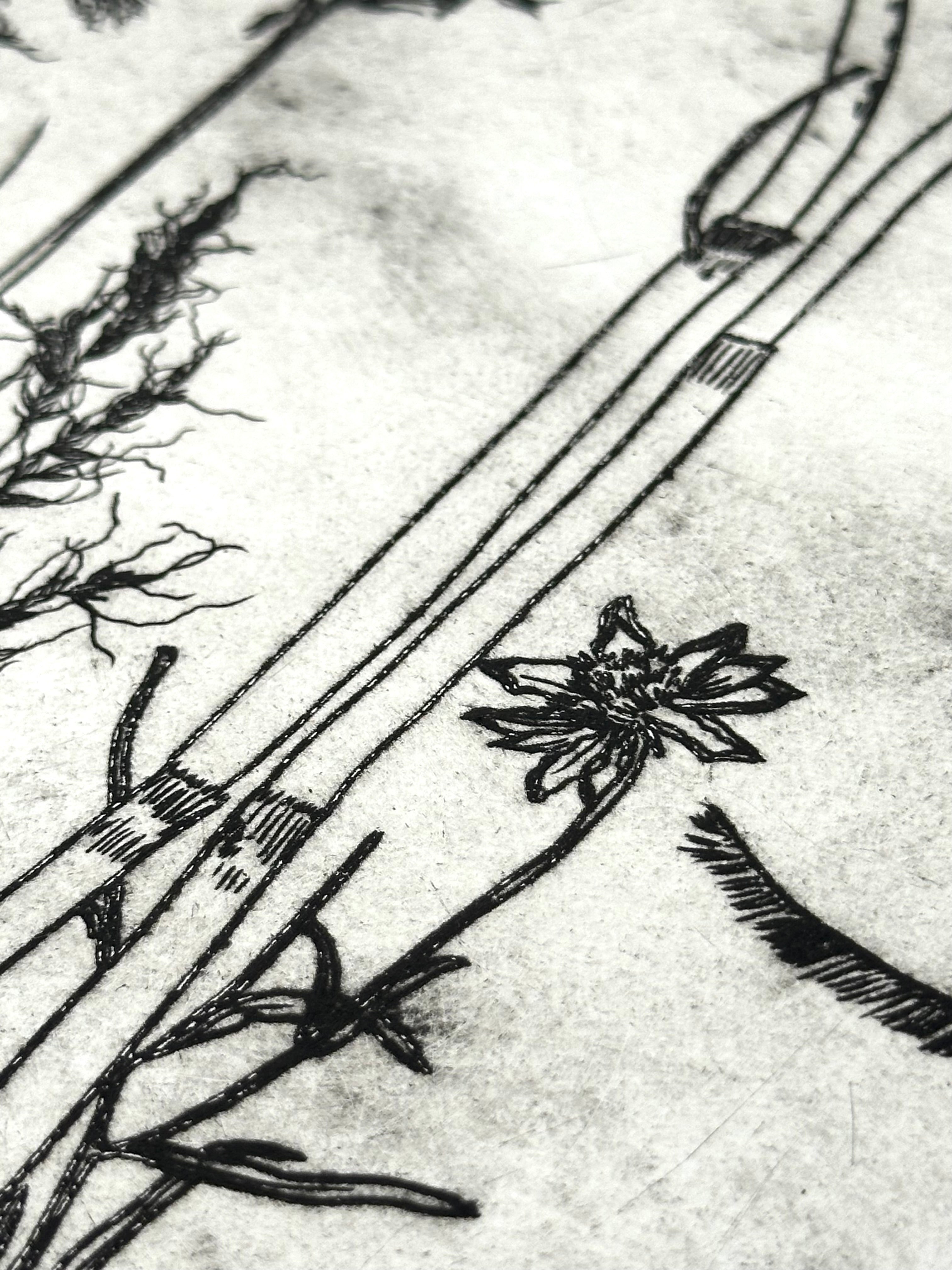 What are the colors of the place you love most in the world? - an intaglio print