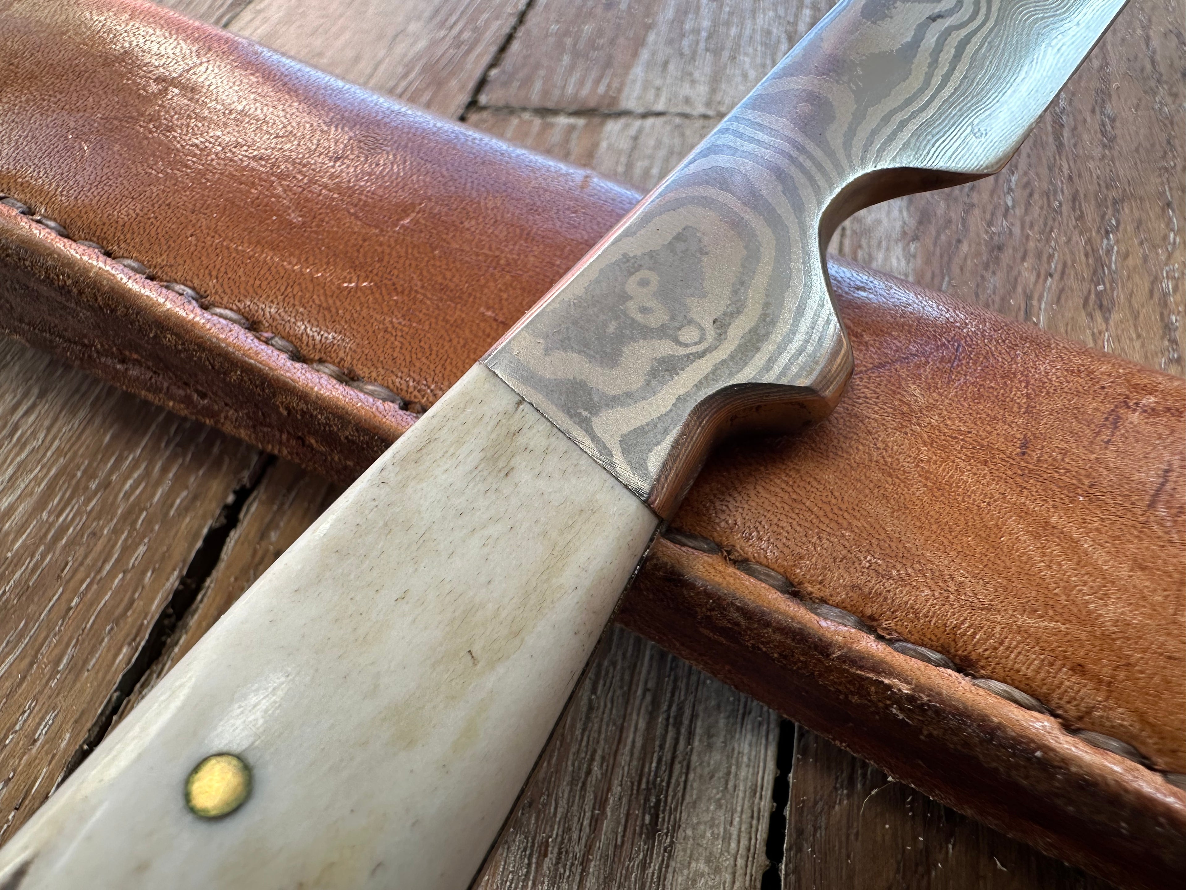 Staghorn Handle Knife by Larry Pogreba