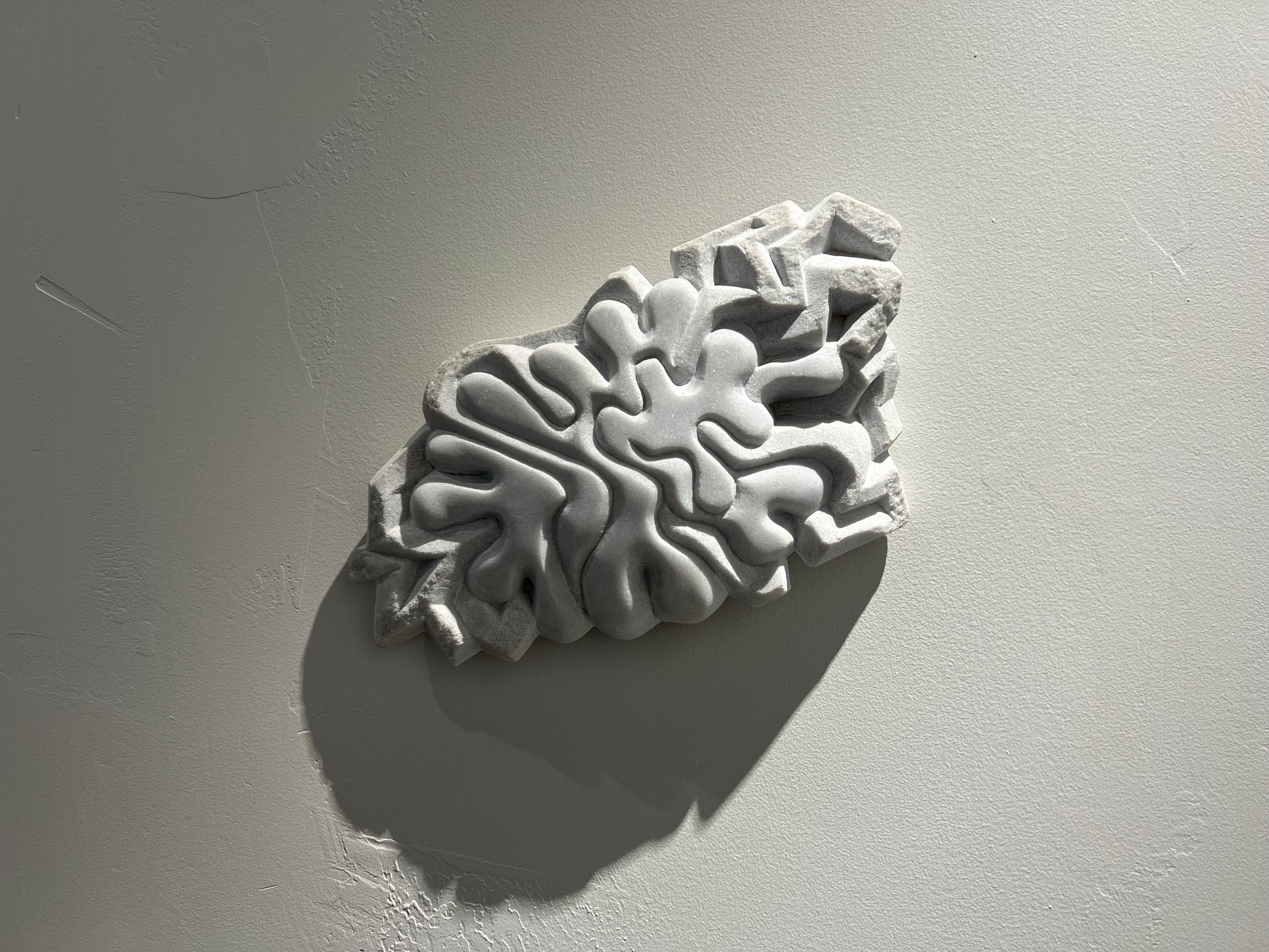 Oligocene Hub Cap III