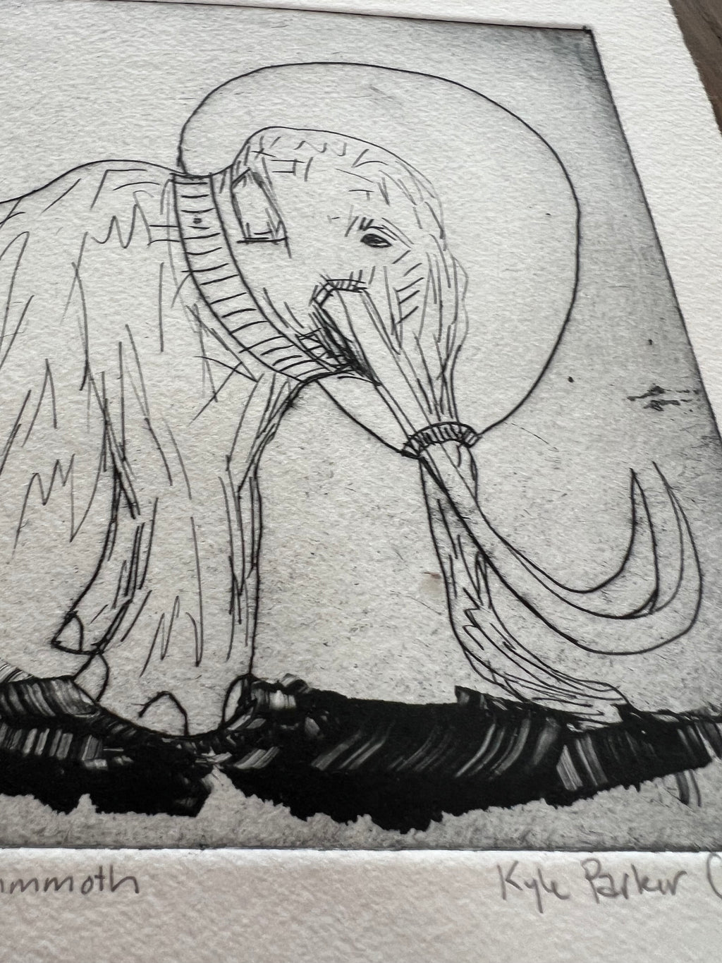 space mammoth #5