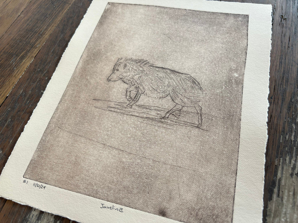 javalina #1