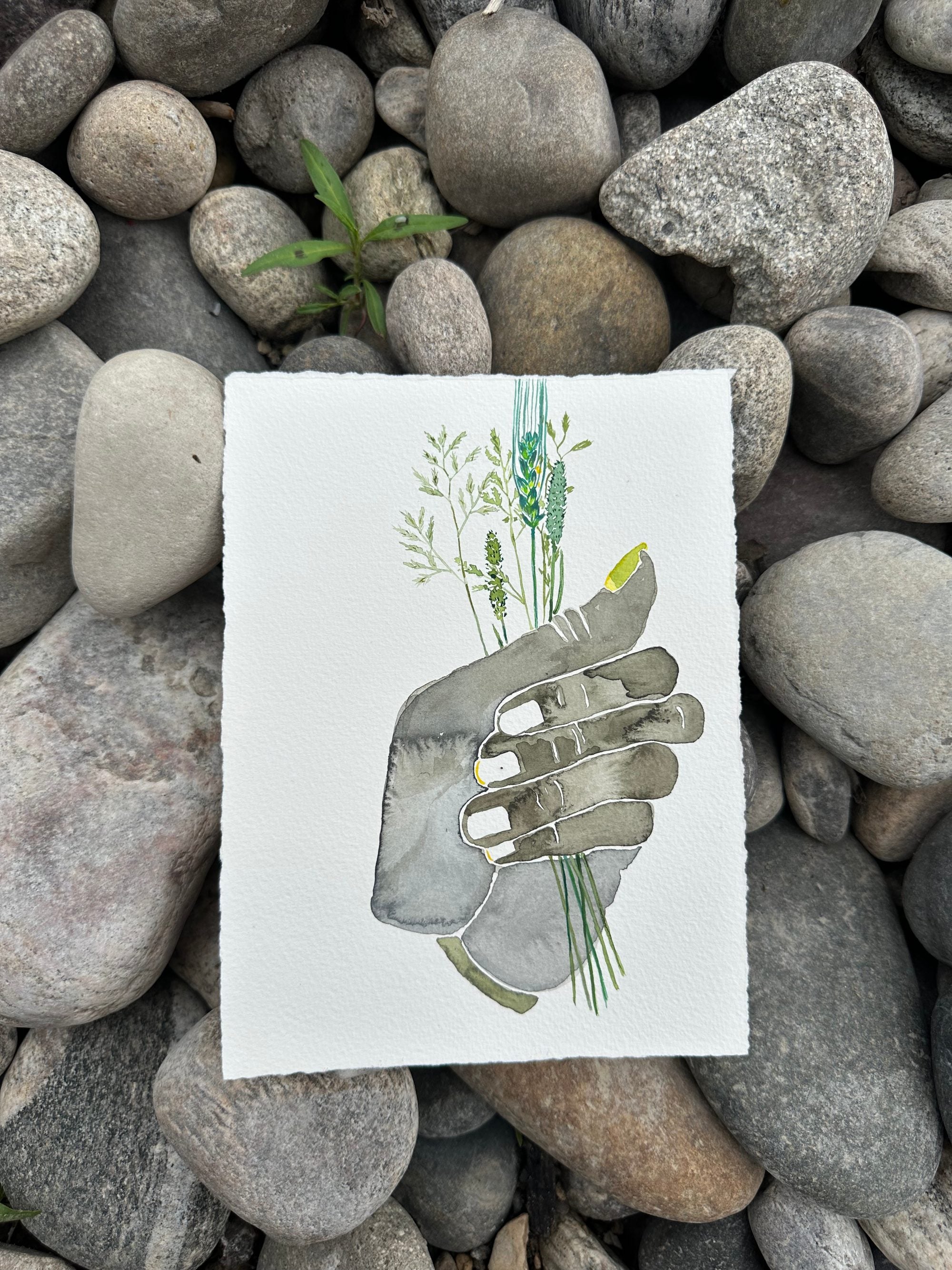 Bundle of Grass, Belt Creek