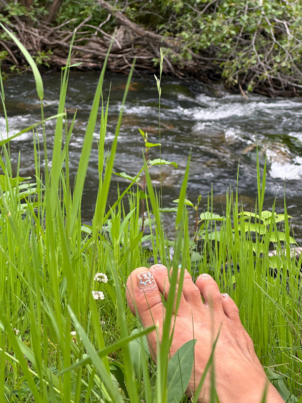 Bundle of Grass, Belt Creek