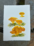 Congregation of Chanterelles