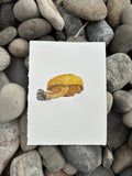 Suillus, Wyoming