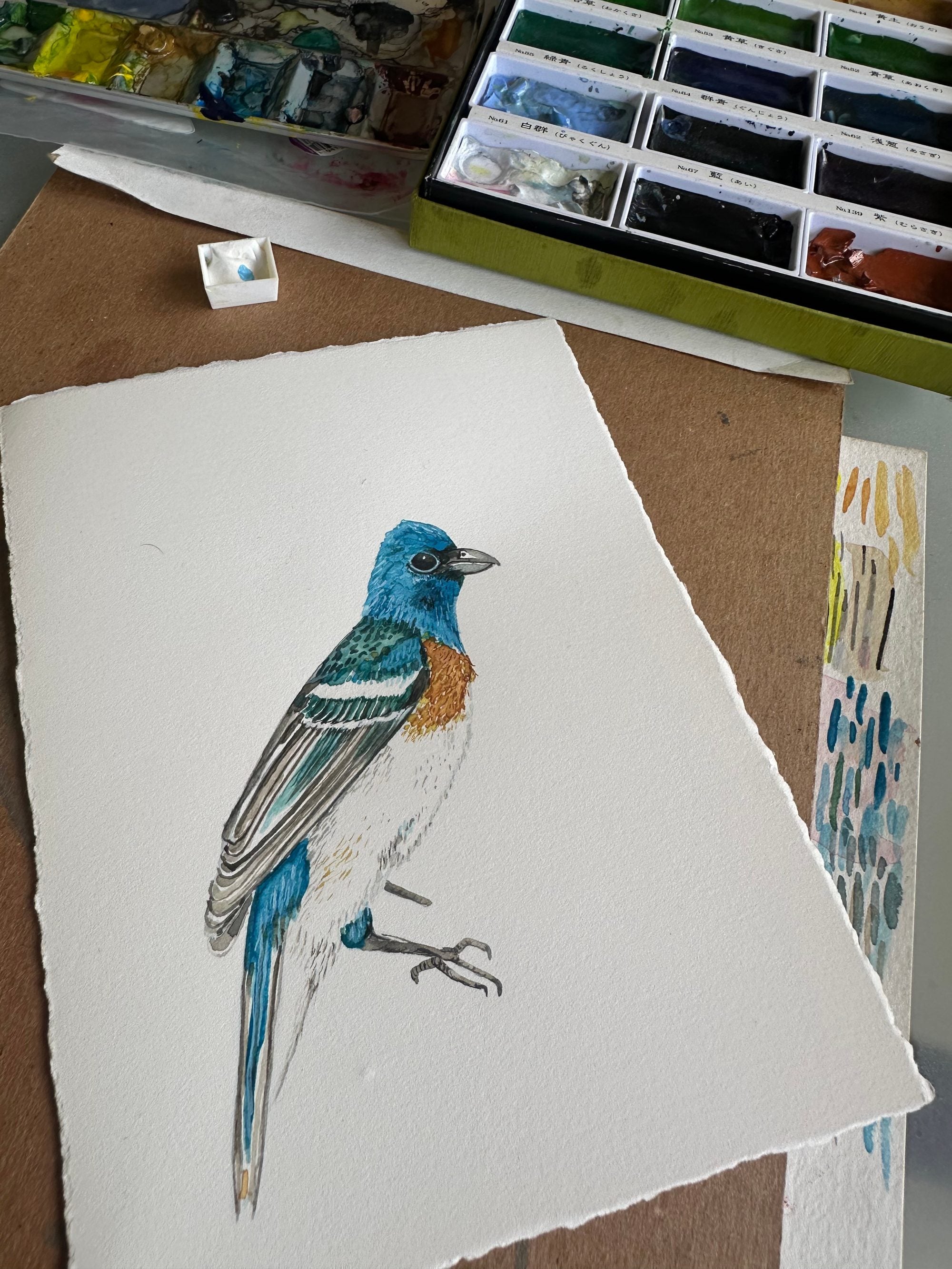 Lazuli Bunting