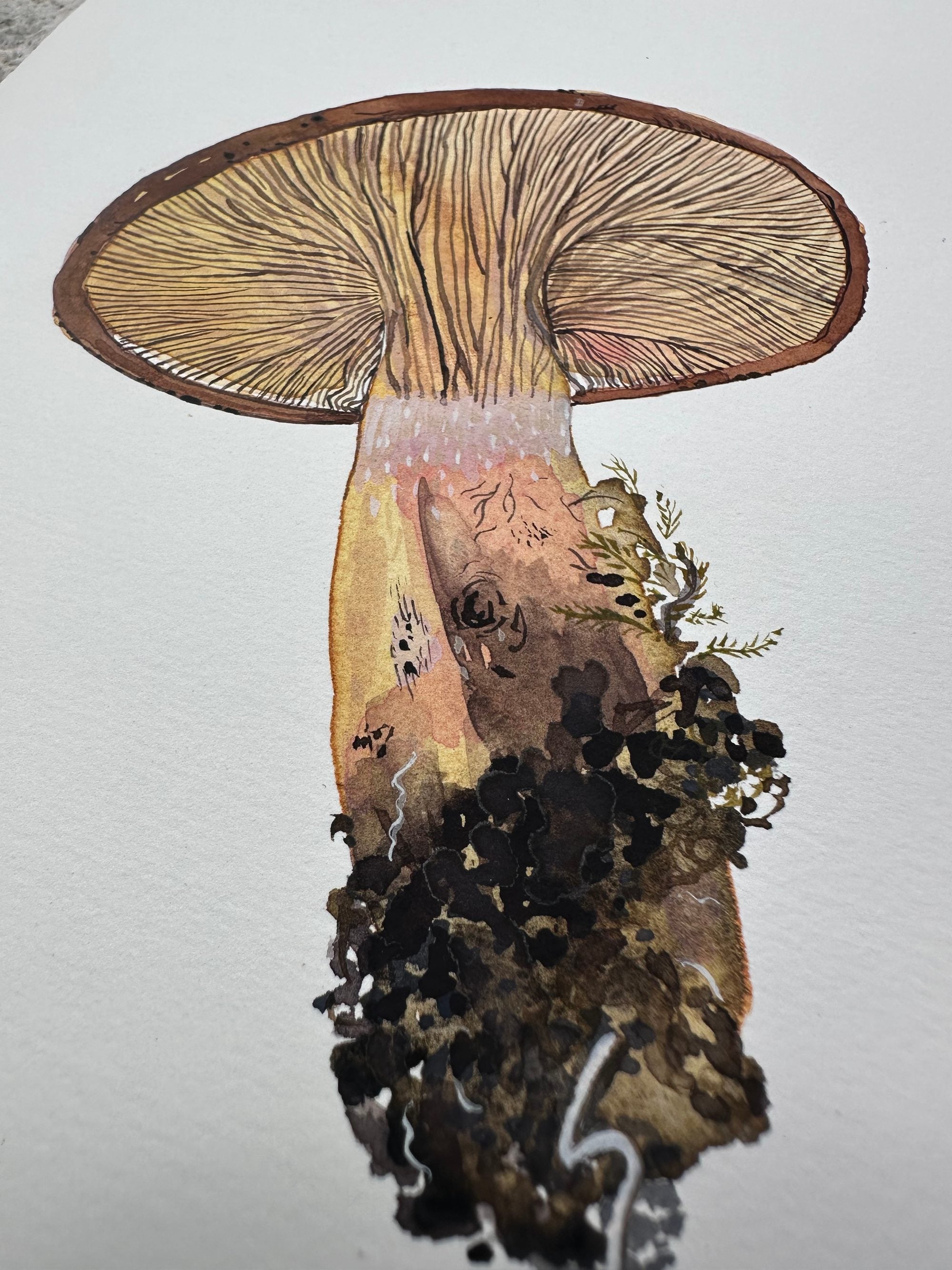 A Beautiful Mushroom