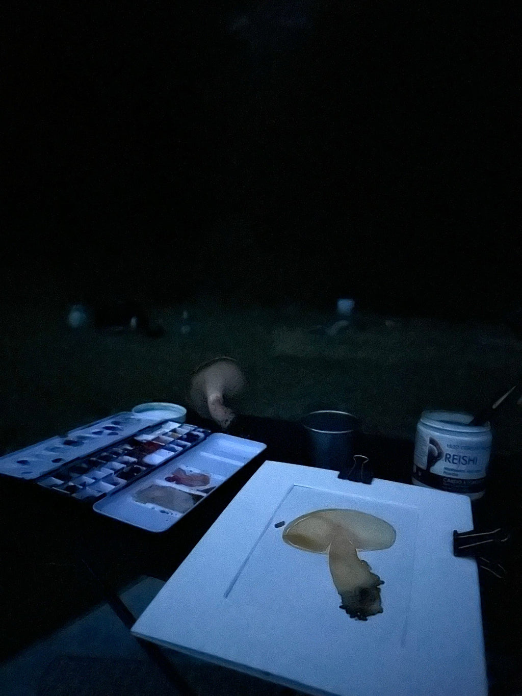 A Beautiful Mushroom