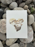Small Oyster Cluster, two
