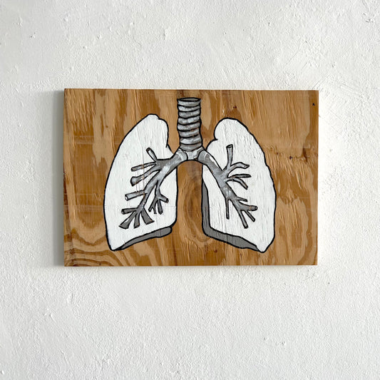 Lungs