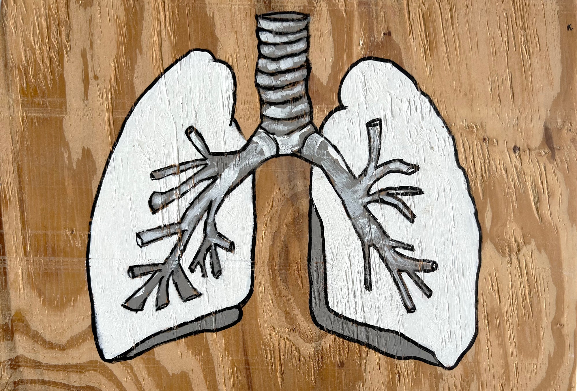 Lungs