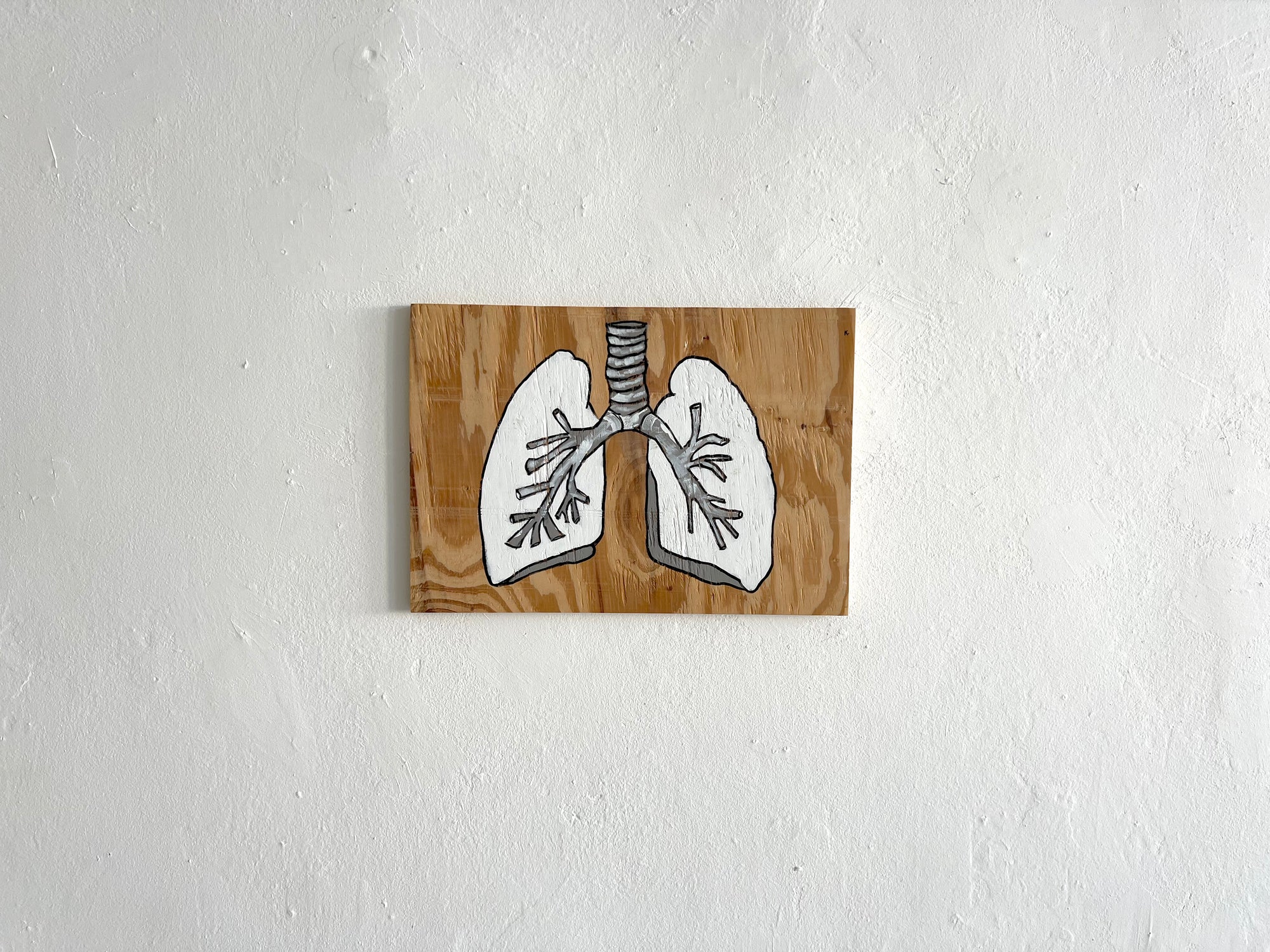 Lungs