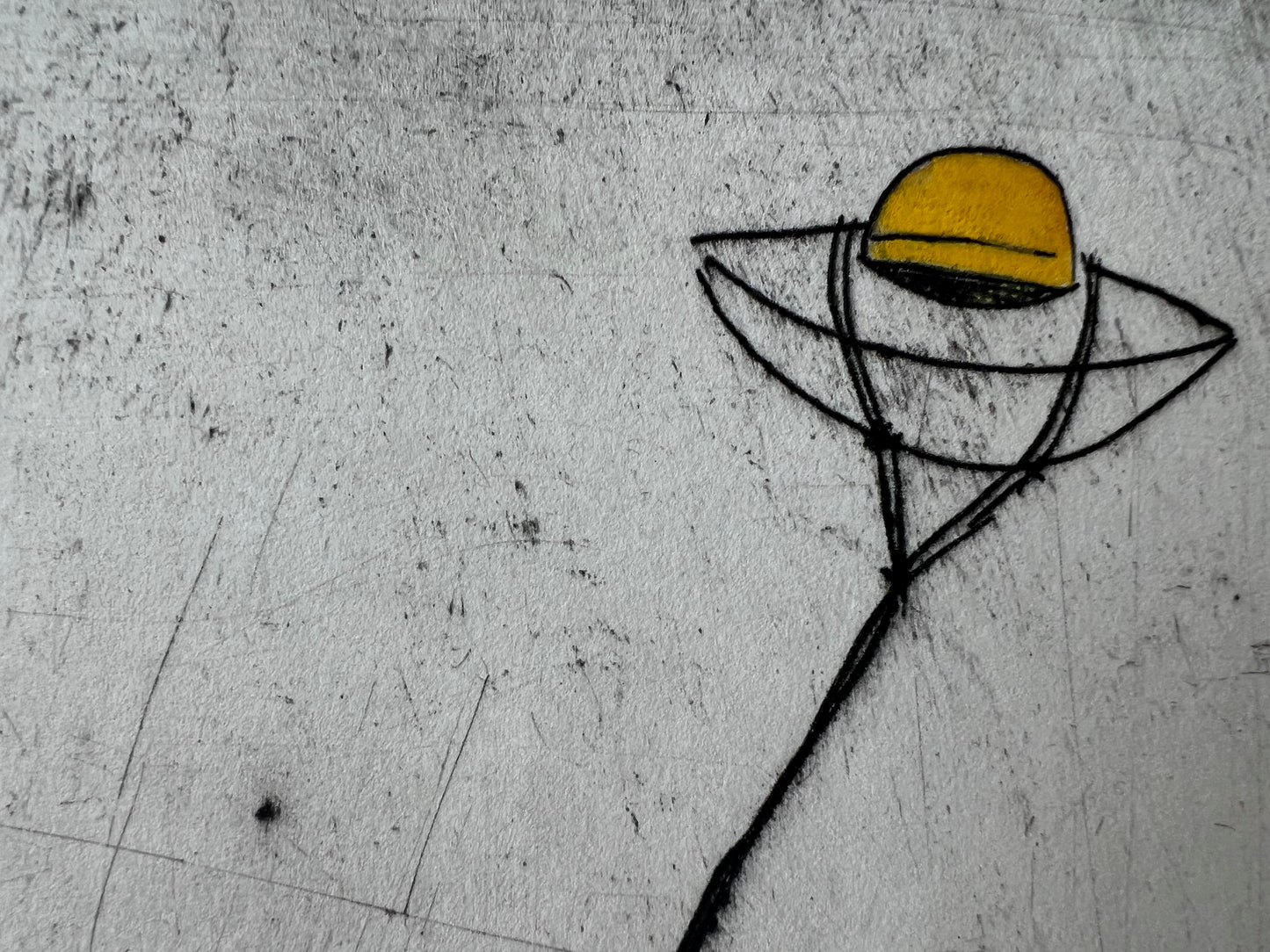 Kite