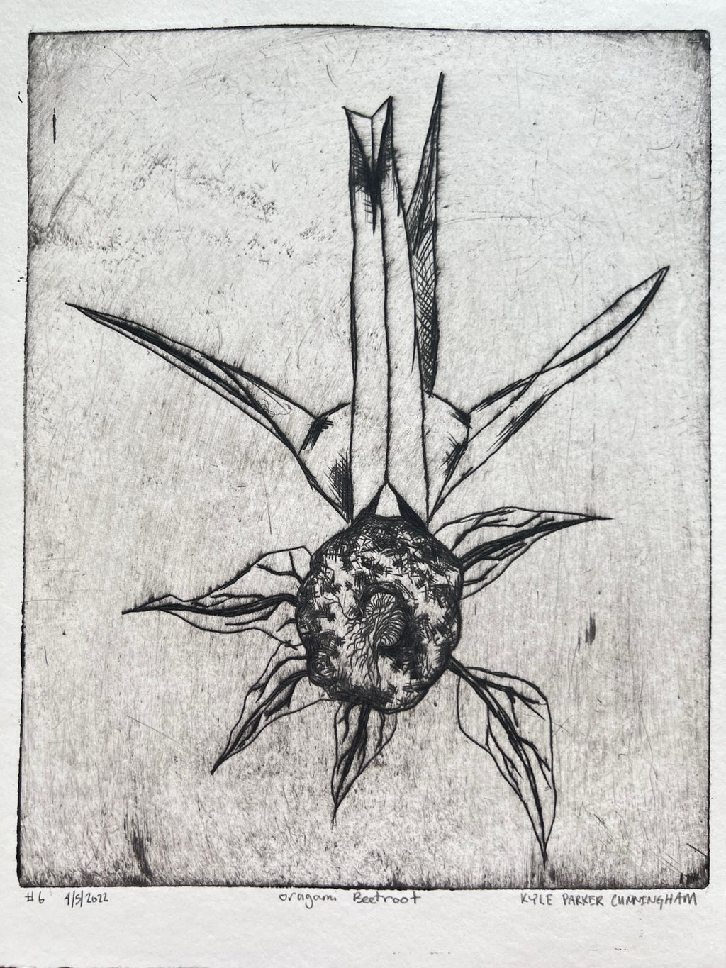 Origami Beetroot