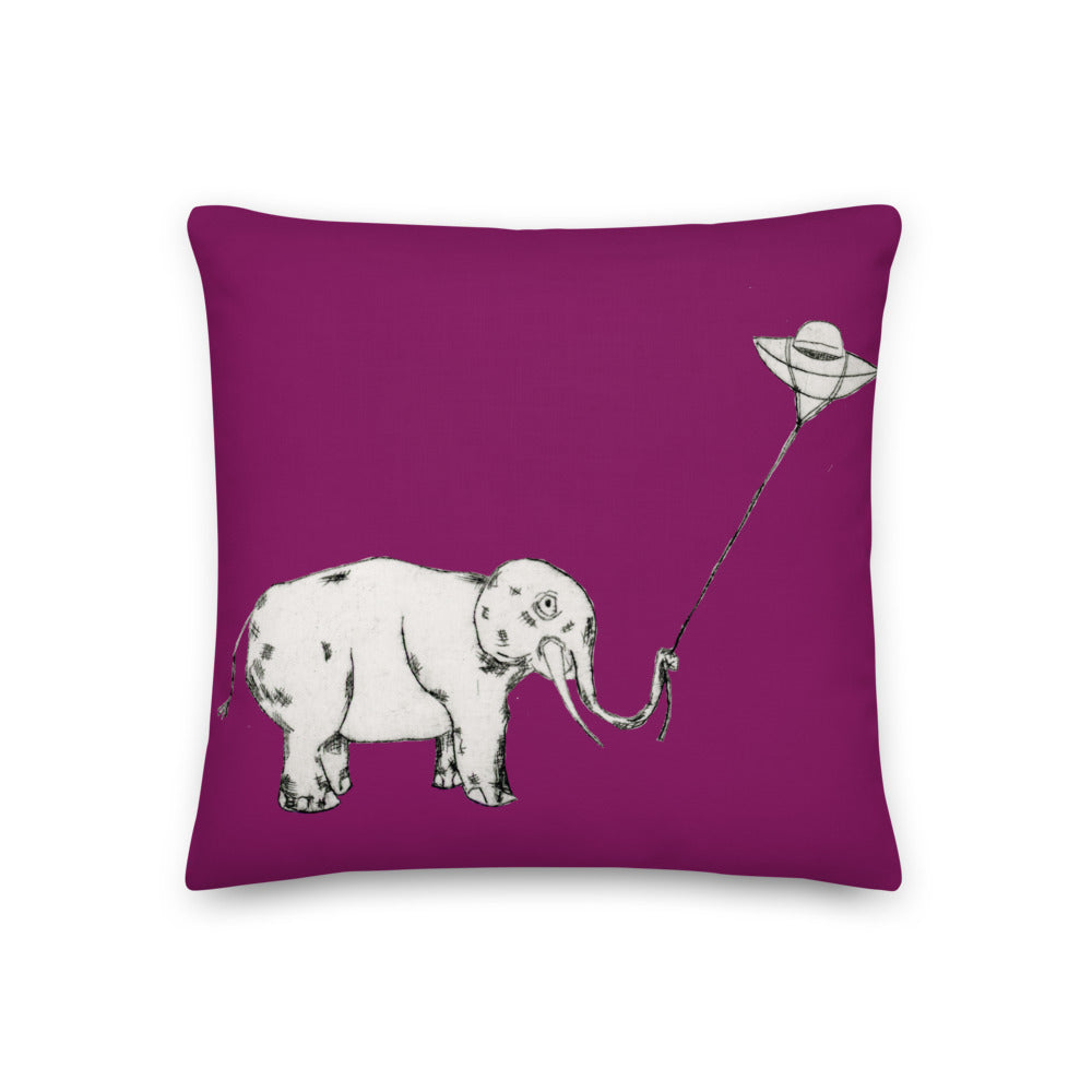 Kite Pillow