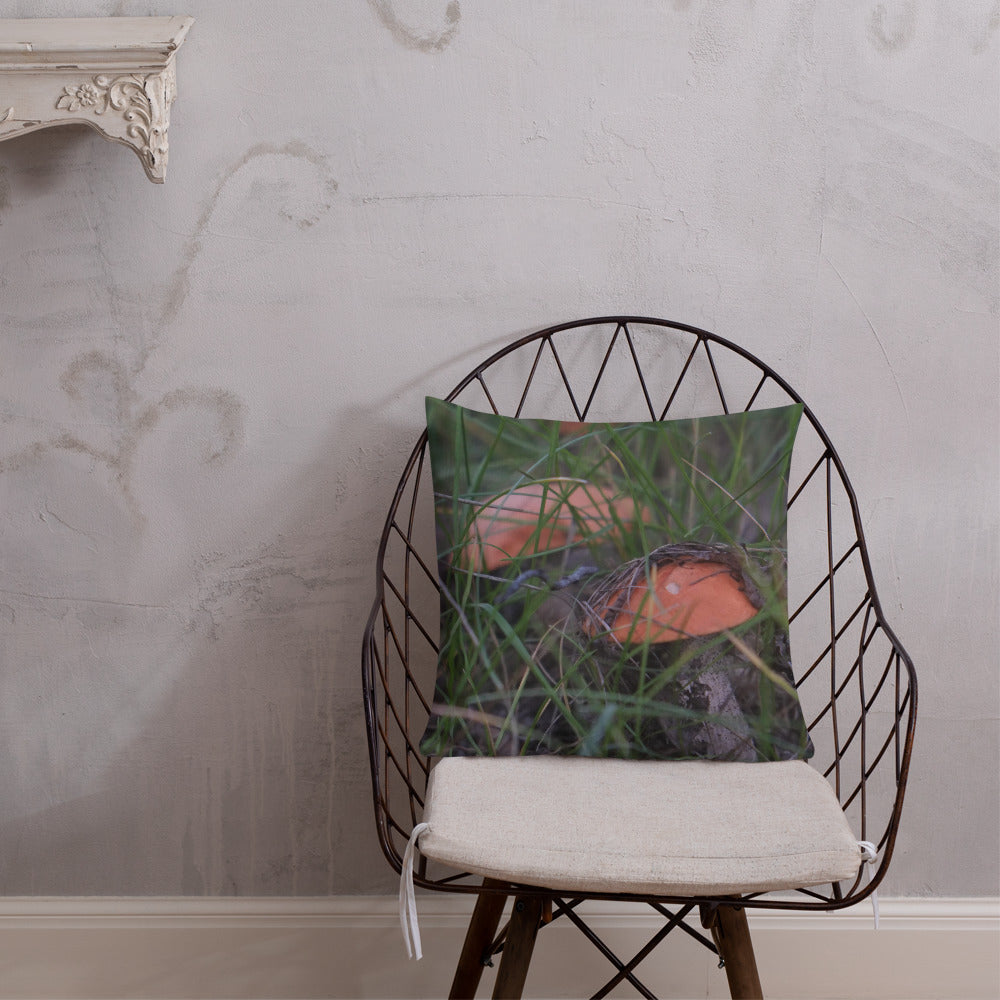 Aspen Bolete Pillow
