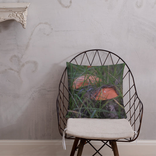 Aspen Bolete Pillow