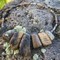 Bits of Forest, Petrified Wood