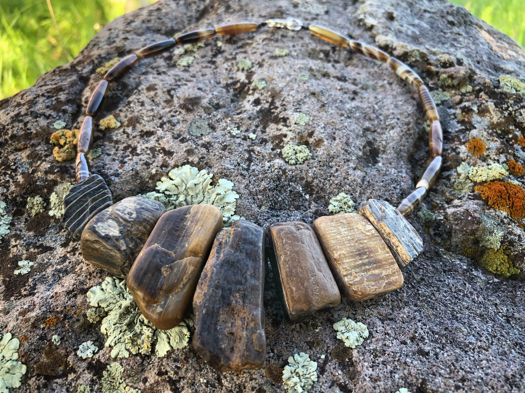 Bits of Forest, Petrified Wood