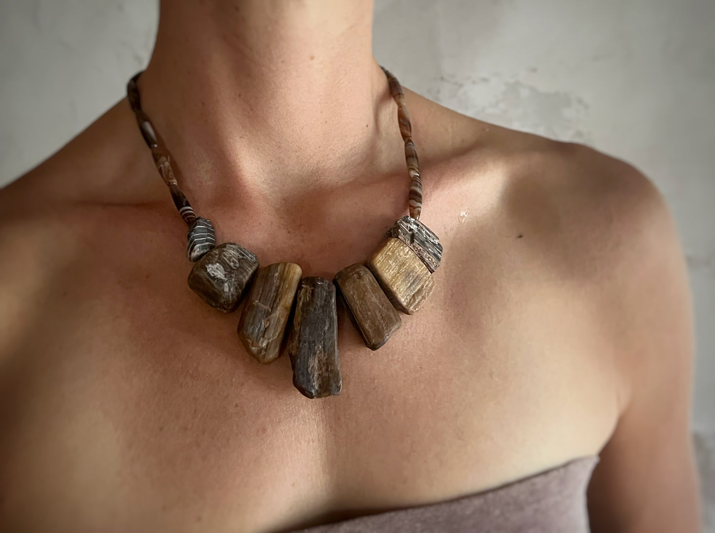 Bits of Forest, Petrified Wood