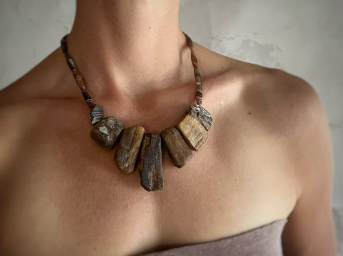 Bits of Forest, Petrified Wood