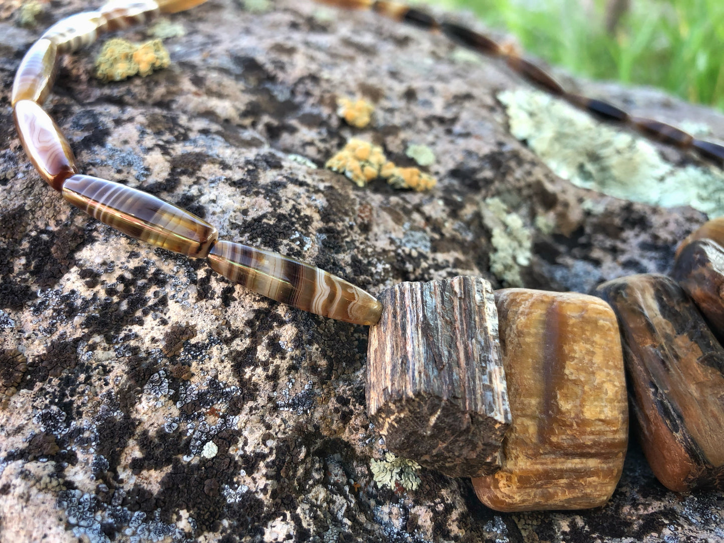 Bits of Forest, Petrified Wood