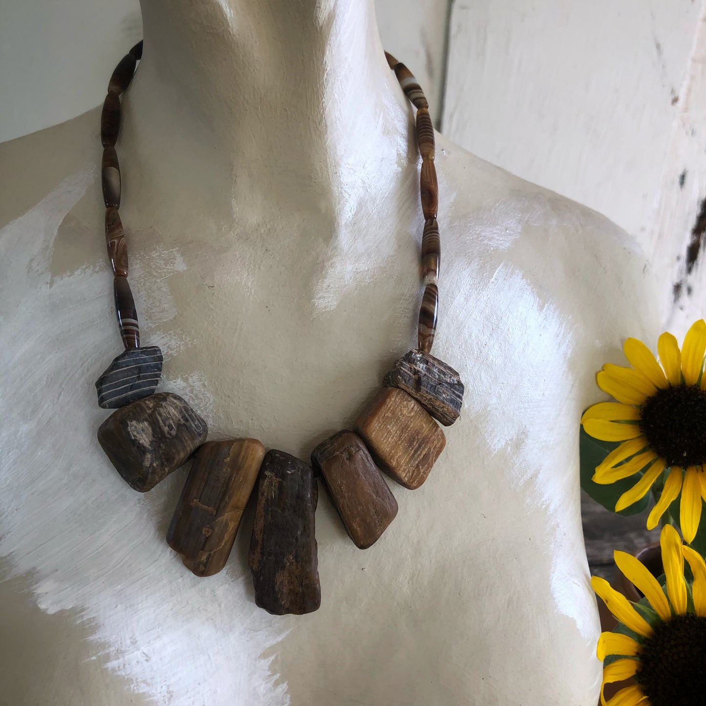 Bits of Forest, Petrified Wood
