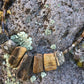 Bits of Forest, Petrified Wood