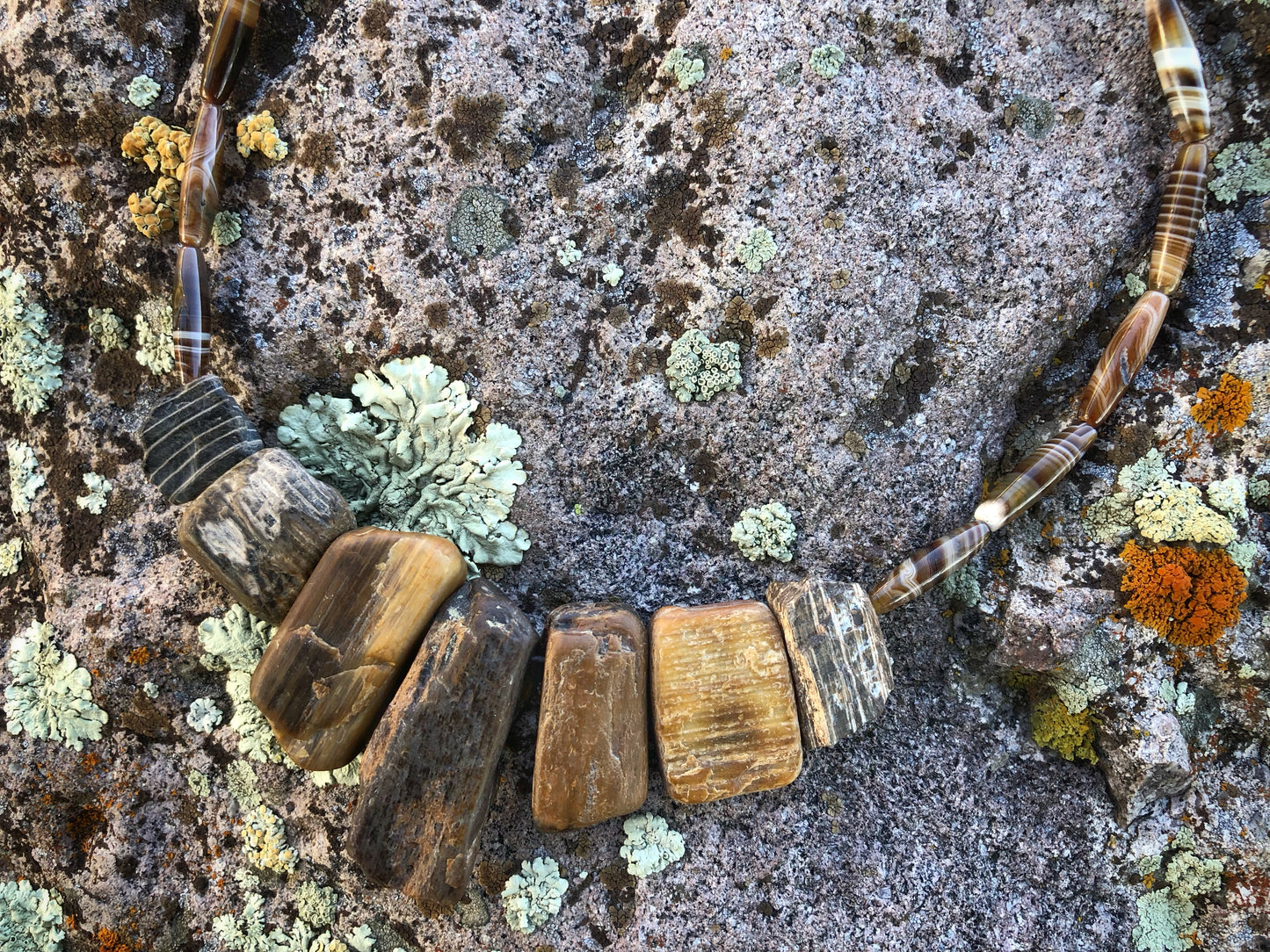 Bits of Forest, Petrified Wood