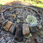 Bits of Forest, Petrified Wood