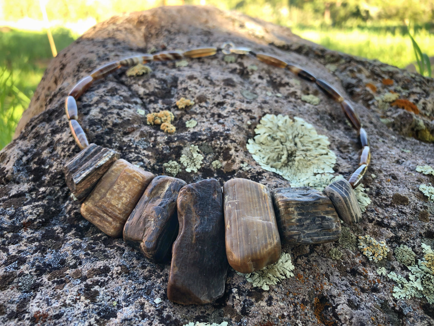 Bits of Forest, Petrified Wood