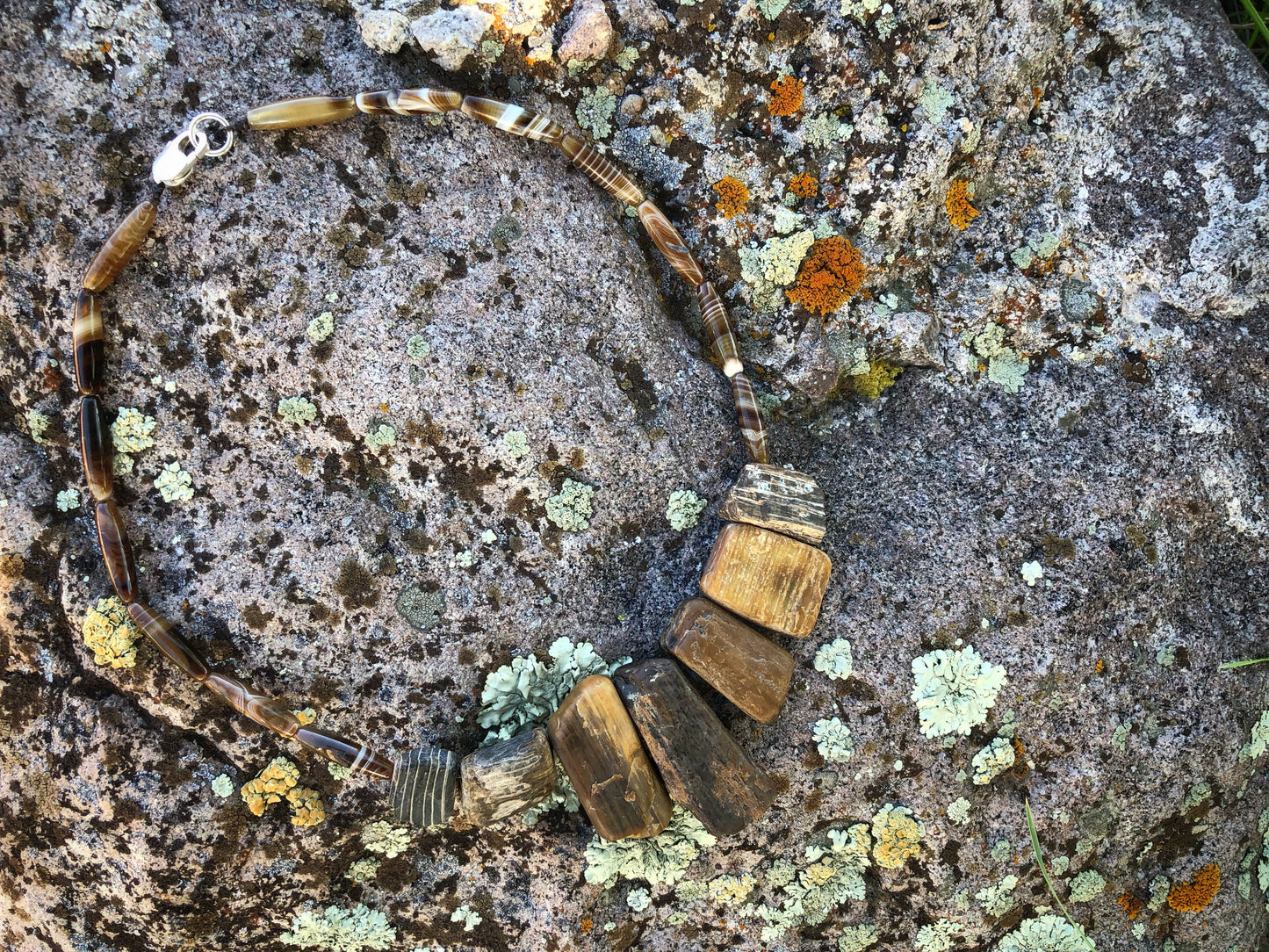 Bits of Forest, Petrified Wood